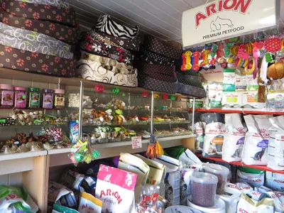 ABC PSA I KOTA. Sklep zoologiczny Częstochowa. Karma dla zwierząt